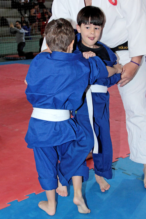 judotatami100