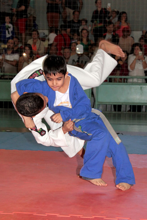 judotatami78
